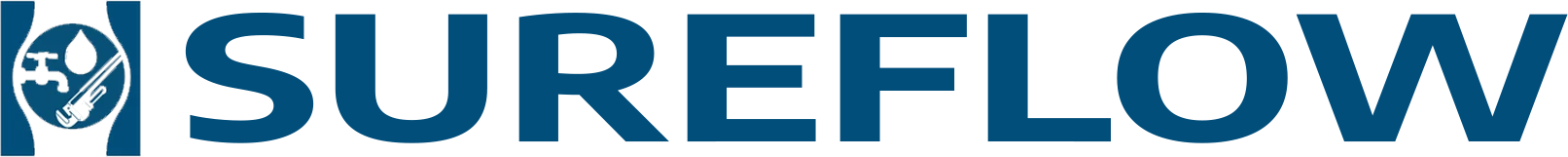 website logo